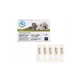 SKIN ENERGY CICATREX 5 vials x 3ml