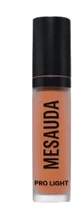 CORRECTOR PRO LIGHT P01
