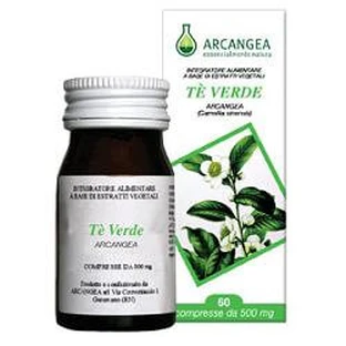 TÉ VERDE' TÉ VERDE 60CPS 500MG (F027C) AR