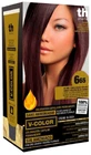 TH V KIT COLOR S/AMM 6.65 ORO