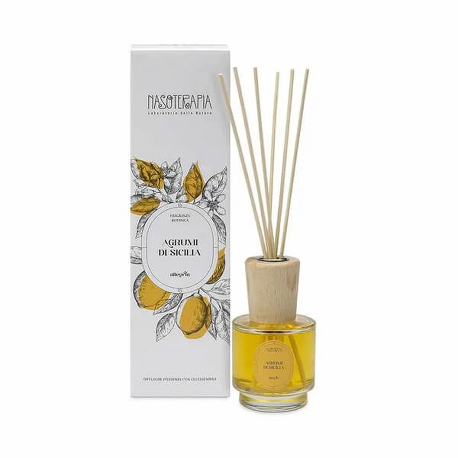 DIFFUSER STICKS 100ML AGR
