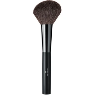 BROCHA PARA POLVOS DR HAUSCHKA MAL