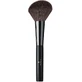 BROCHA PARA POLVOS DR HAUSCHKA MAL