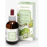 Ginkgo Biloba Blätter EI 50ml