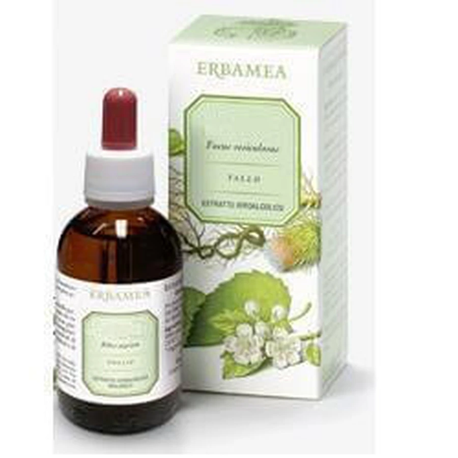 Ginkgo Biloba bladeren EI 50ml