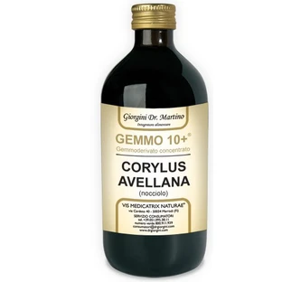 Hazelnut 500ml Non-alcoholic Gemmo 10+ Giorgini