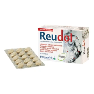 Reudol 60 Tabletten 48g