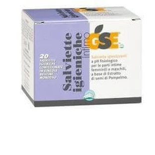 GSE INTIM HYGIENE MON SAVER 20PCS