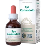 Sys Koriander-Tropfen 50ml Vitalkraft