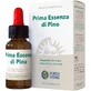 First Essence Pine 10ml