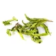 Lovage Root Cutting Herbal Tea-Sedan Of