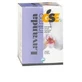 GSE INTIME LAVANDE 4FL 100ML