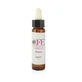 Aspen Cemon Flower Essences Stock Bottle 10ml