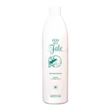 Feeënolie 500ml ERM