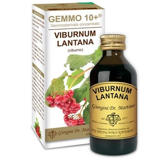 VIBURNUM NON-ALCOHOLIC LIQUID 100ML GIORGINI