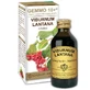 VIBURNUM NON-ALCOHOLIC LIQUID 100ML GIORGINI