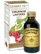 VIBURNUM ALKOHOLFREIE FLÜSSIGKEIT 100ML GIORGINI