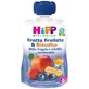 Smoothie Fruit &amp;amp; HiPP Bio Aardbei Appel Bosbes Koekje 90g