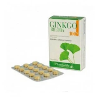 Ginkgo Biloba 100% 60 Tabletten