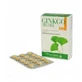 Ginkgo Biloba 100% 60 Tablets