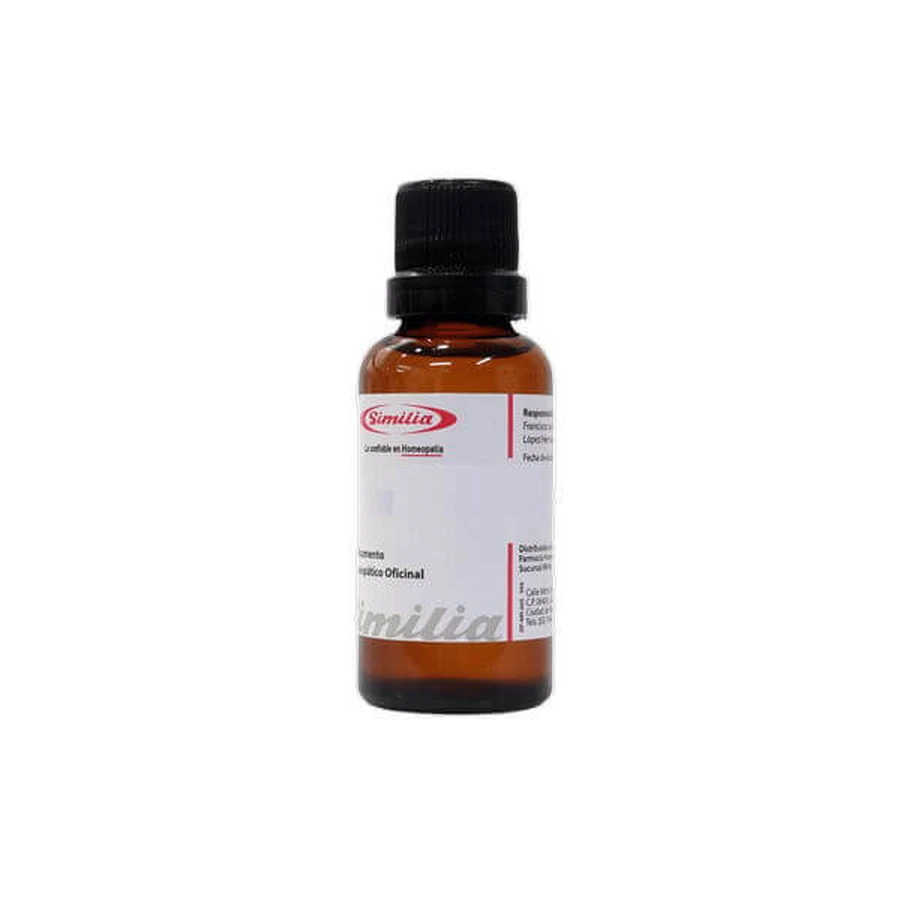E6 BIRCH 10ML