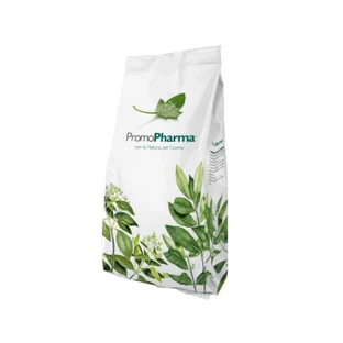 Hojas de Menta Tt 100g