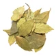 Laurier dans 100 g de feuilles entières pour infusions et décoctions