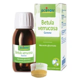 Betula Verrucus Glyceric Mazerat 60ml Boiron
