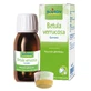 Betula Verrucus Glyceric Macerate 60ml Boiron