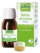 Betula Verrucus Macerado Glicérico 60ml Boiron