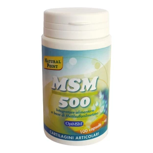 MSM 500 100 VEGETARISCHE CAPSULES