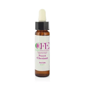 Castaño Dulce Cfe Stock Botella 10ml