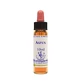 Aspen Essenz 10 Ml 1 Stück