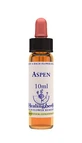 Aspen Essence 10 Ml 1 Stuk