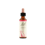 Bach 19 Lärchentropfen 20ml