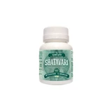Shatavari Asperge 60cpr