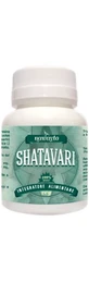 Shatavari Asperge 60cpr