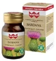 WINTER BURDOCK BIO 30CPS VEG