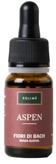 ASPEN 10ML