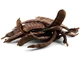 Caroubes entières pour tisane 100 g