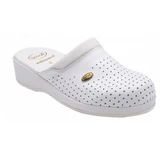 CLOG Rückenschutz Weiß 42
