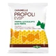 Propolis Evsp Candies Propolis Menthe Eucalyptus