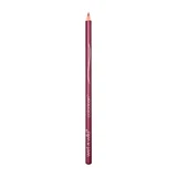 Wet n Wild Coloricon Lipliner Lippenstift E664C