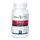 Pilosella 60 Capsules 350mg Erbavita