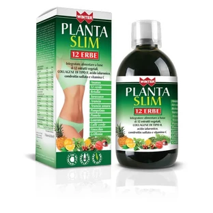 WINTER PLANTA SCHLANK 12ERBE500ML
