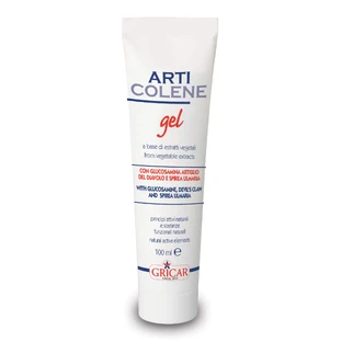 ARTICLENE gel 100ml