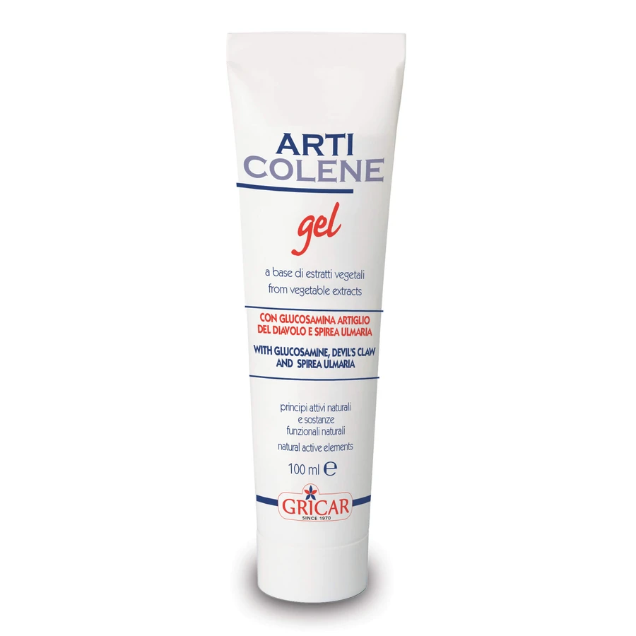 ARTICLENE gel 100ml