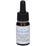 Alkaest Qe24 Basilikum 10ml