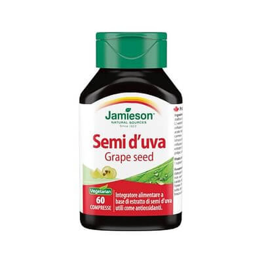 TRAUBENKERN TRAUBENKERN JAMI 60CPR