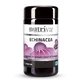 Nutriva Echinacea Cpr